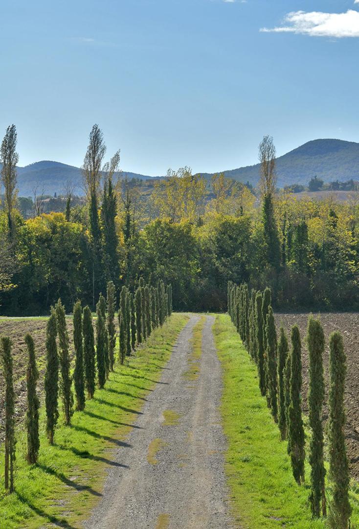 Podere La Querciola Guardistallo Luaran gambar